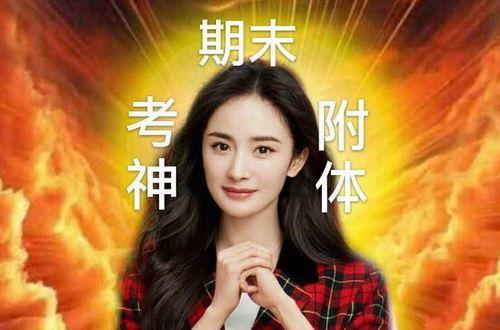 明星锦鲤是谁,明星锦鲤背后的神秘力量