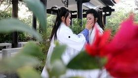 君拂花絮音乐,旋律中的诗意漫步