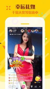 娱乐吃瓜直播页面在哪看,娱乐吃瓜直播页面，带你一网打尽热门资讯！