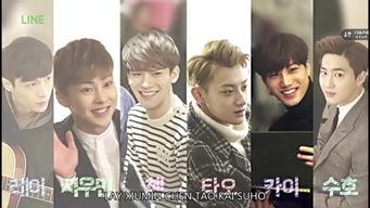 exo女主是明星,EXO女主的明星之路